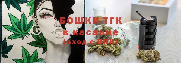 молекула духа Янаул