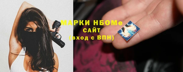 мдпв Пыталово