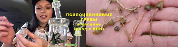 спиды Анива