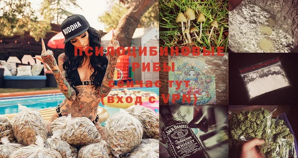 спиды Анива