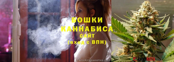 мдпв Пыталово