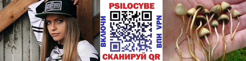 Галлюциногенные грибы ЛСД где найти наркотики Гурьевск
