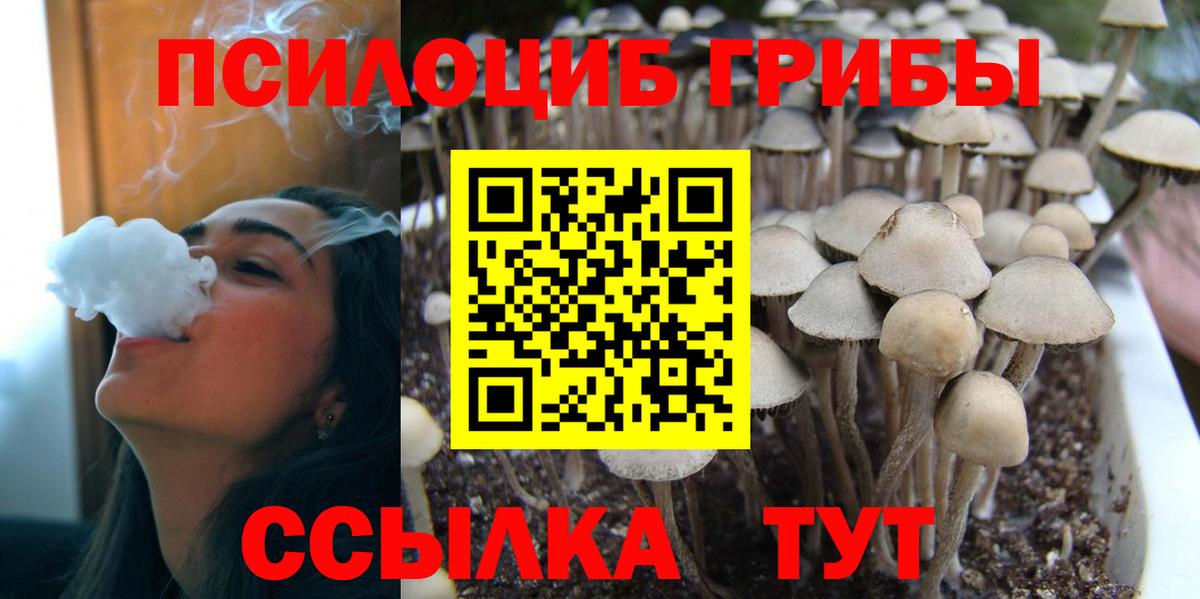 Галлюциногенные грибы мицелий  Галлюциногенные грибы Psilocybine cubensis  Вход с VPN  Гурьевск 