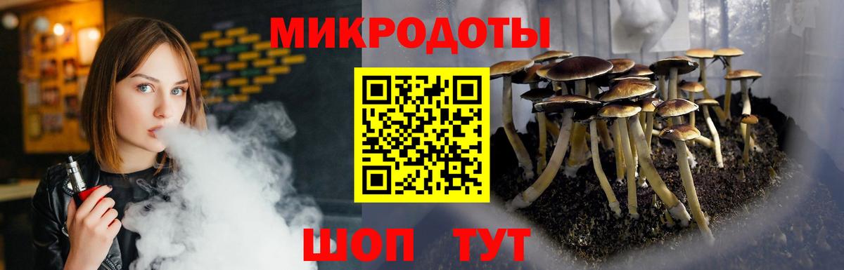 Псилоцибиновые грибы Psilocybine cubensis  Гурьевск  Псилоцибиновые грибы Cubensis 